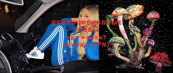 герыч Верхний Тагил