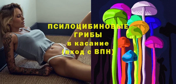 герыч Верхний Тагил