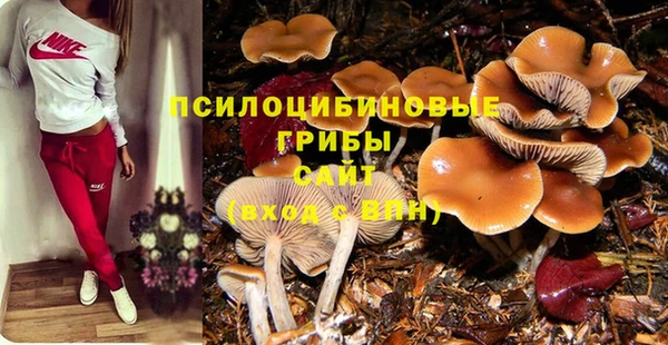твердый Верея